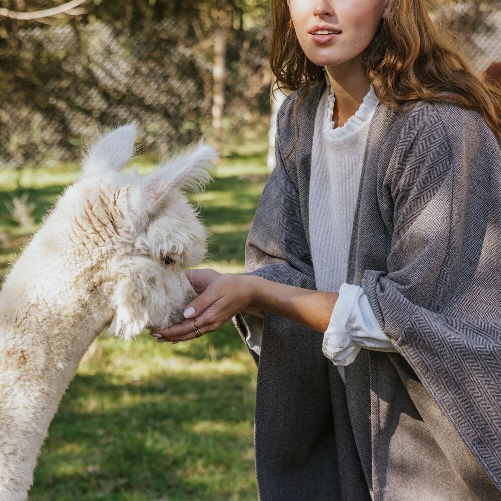 Alternative view of Capa Gabriella marrón