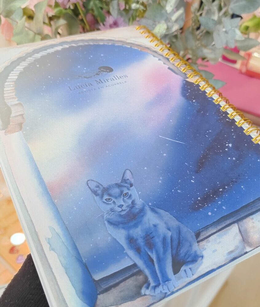 Alternative view of Cuaderno ventana