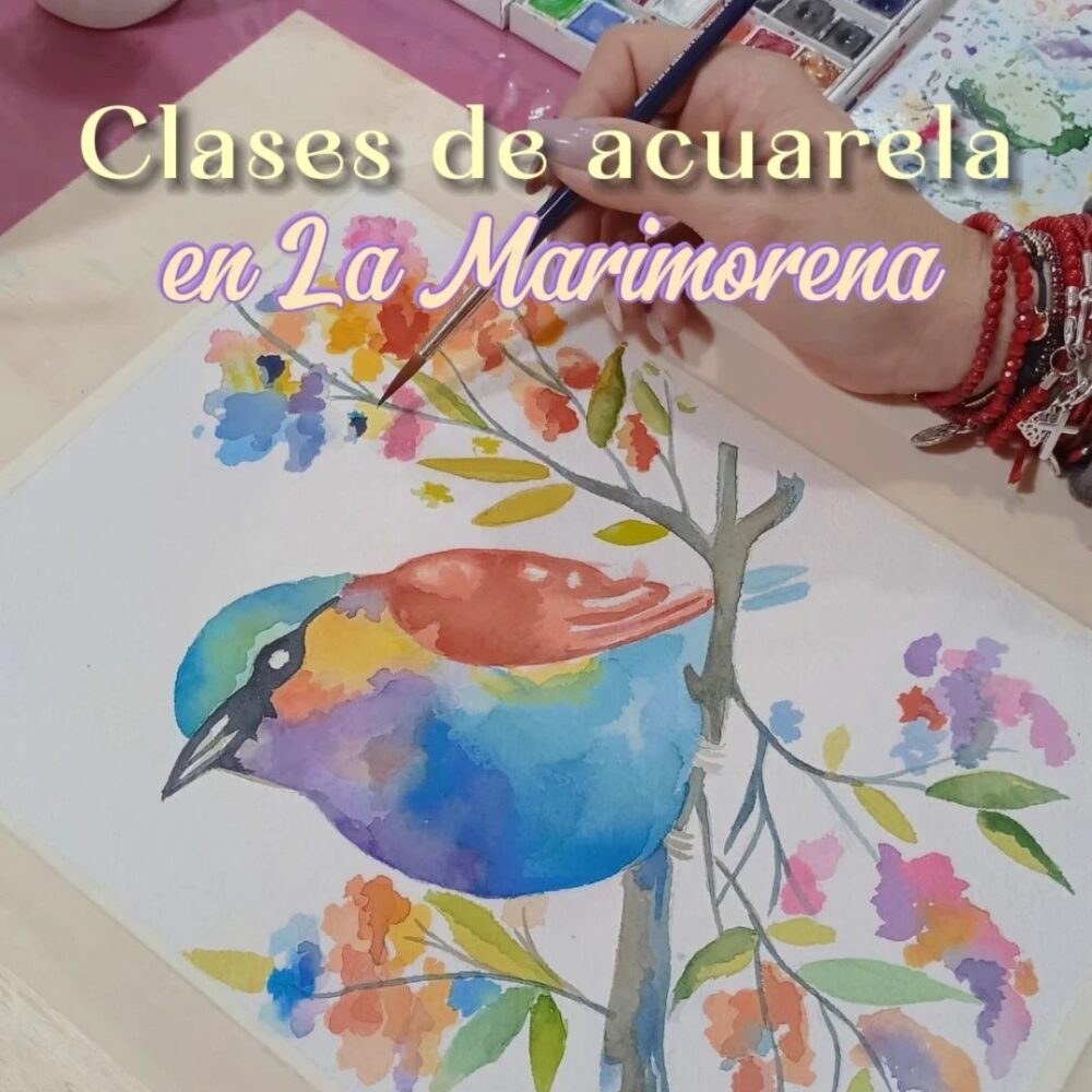 MARICOLOR clases mensuales
